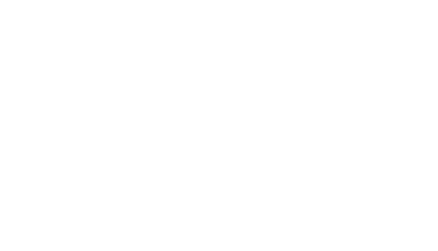 Everlaw